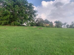 77pv 4
