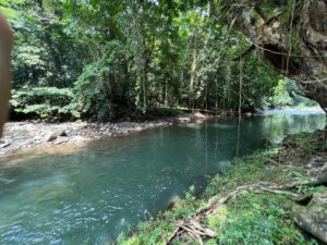 img 20260209 wa0364