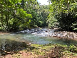 img 20260209 wa0365