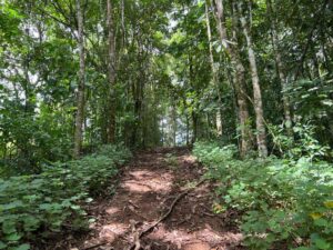 img 20260209 wa0366