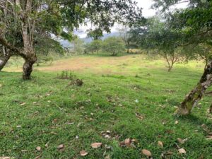 img 20260209 wa0377