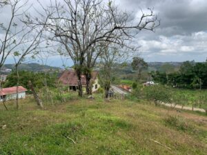 img 20260209 wa0379