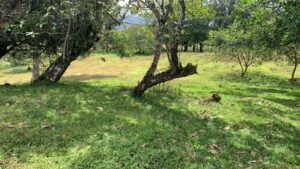 img 20260209 wa0381
