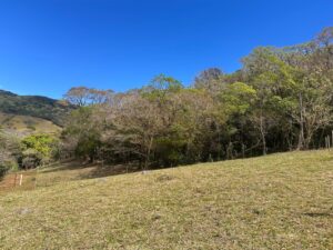 img 20260210 wa0227