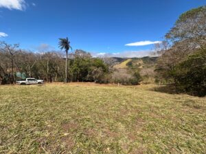 img 20260210 wa0228