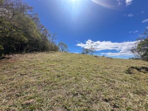 img 20260210 wa0229