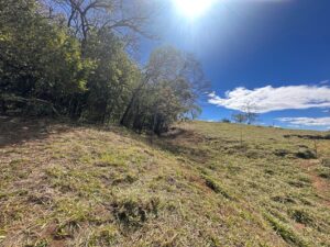 img 20260210 wa0230