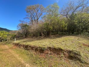 img 20260210 wa0233