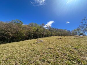 img 20260210 wa0235