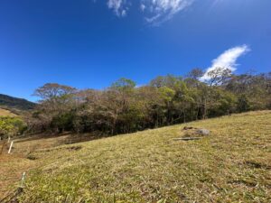 img 20260210 wa0236