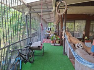 whatsapp image 2026 03 21 at 2.57.53 pm (1)