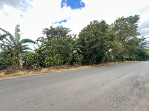 img 20260717 wa0071