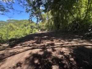 178pv 1