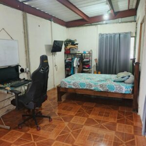 181pv 1
